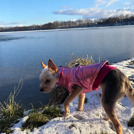 Gawra Nad Jeziorem - Caloroczne Nad Jeziorem Z Balia, Jacuzzi I Sauna, Kaszuby Lägenhet Sobącz