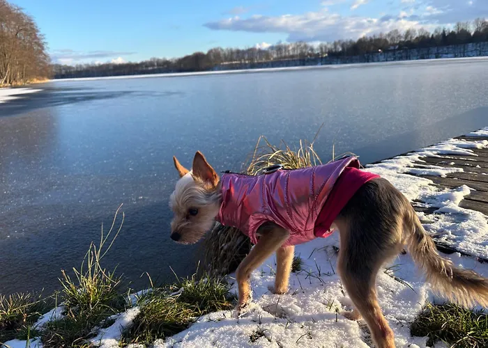 Gawra Nad Jeziorem - Caloroczne Nad Jeziorem Z Balia, Jacuzzi I Sauna, Kaszuby Διαμέρισμα Sobącz