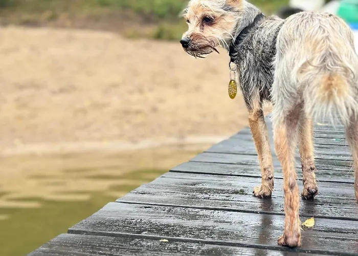 Gawra Nad Jeziorem - Caloroczne Nad Jeziorem Z Balia, Jacuzzi I Sauna, Kaszuby Sobącz